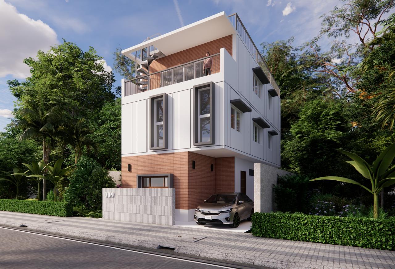 Under The Mango Tree